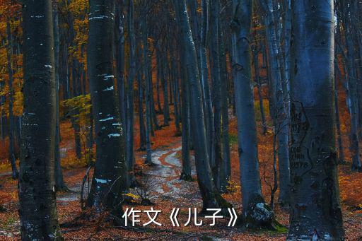 作文《兒子》