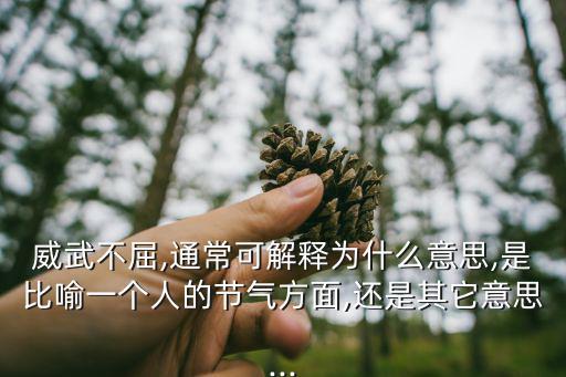 威武不屈,站在天下最正大的位置上不為貧賤動搖