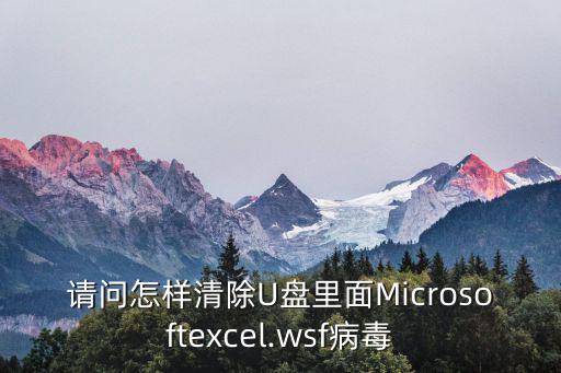 請(qǐng)問怎樣清除U盤里面Microsoftexcel.wsf病毒