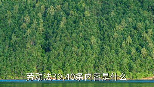 勞動法40條,勞動法40條:下列節日期間應當安排勞動者休假