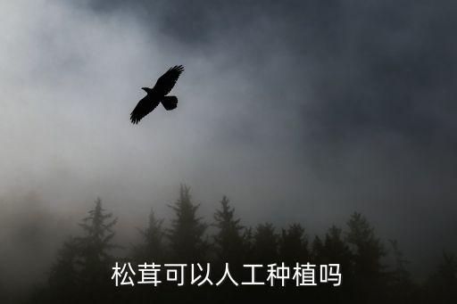 松茸可以人工種植嗎