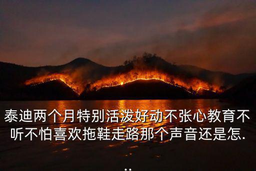 泰迪兩個月特別活潑好動不張心教育不聽不怕喜歡拖鞋走路那個聲音還是怎...