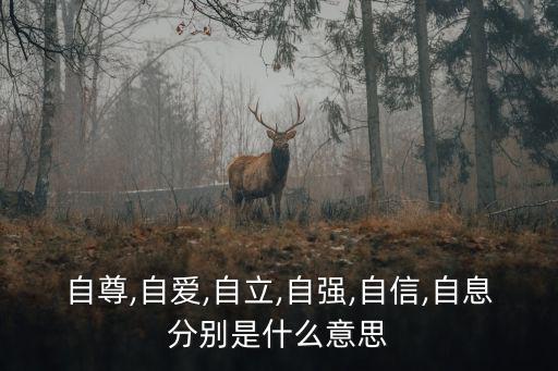 自尊,自愛,自立,自強,自信,自息分別是什么意思