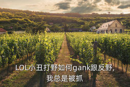 LOL小丑打野如何gank跟反野,我總是被抓