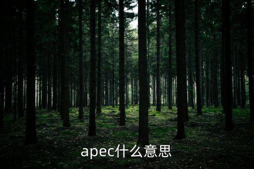 apec什么意思