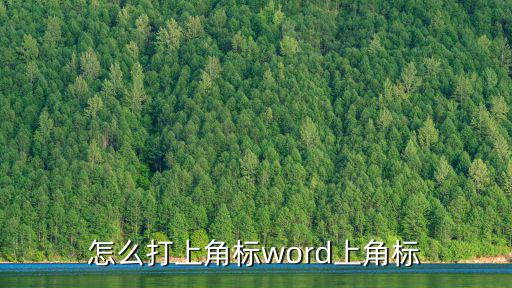 word上角標,word怎么打上下角標?