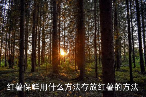 紅薯保鮮庫,紅薯保鮮秘訣:冷庫保鮮
