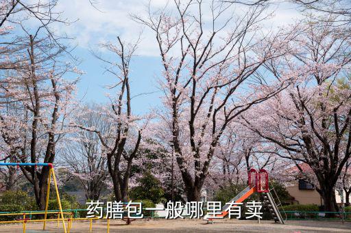 中華藥膳,中華藥膳大全:藥膳是發揮中藥效能的美味佳肴