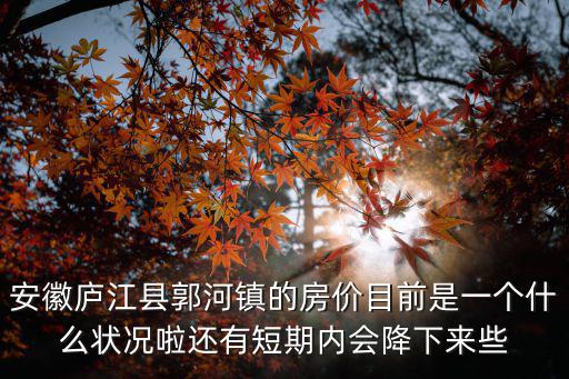 安徽廬江縣郭河鎮的房價目前是一個什么狀況啦還有短期內會降下來些