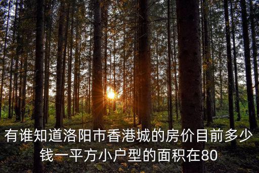 有誰知道洛陽市香港城的房價目前多少錢一平方小戶型的面積在80