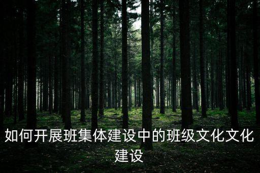 如何開展班集體建設(shè)中的班級文化文化建設(shè)