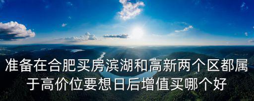 準(zhǔn)備在合肥買(mǎi)房濱湖和高新兩個(gè)區(qū)都屬于高價(jià)位要想日后增值買(mǎi)哪個(gè)好