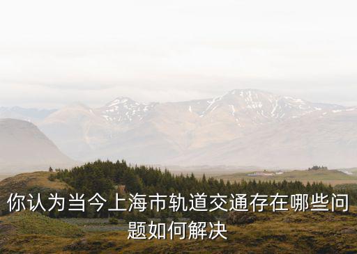 你認為當今上海市軌道交通存在哪些問題如何解決