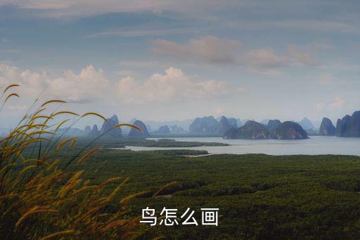 鳥兒怎么畫，鳥怎么畫