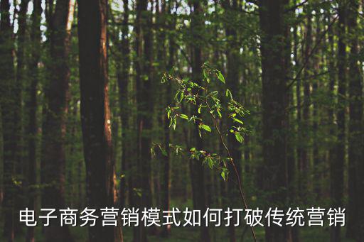 電子商務營銷模式如何打破傳統營銷