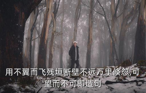 可望而不可即造句,可望而不可即近義詞:望塵莫及、可望不可及