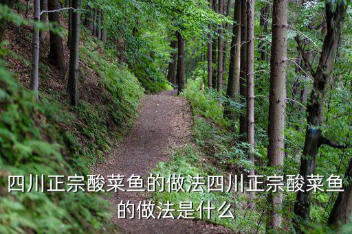 正宗川菜酸菜魚,四川正宗酸菜魚的做法（一）:先腌魚再放菜