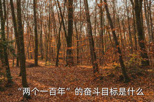 “兩個一百年”的奮斗目標是什么