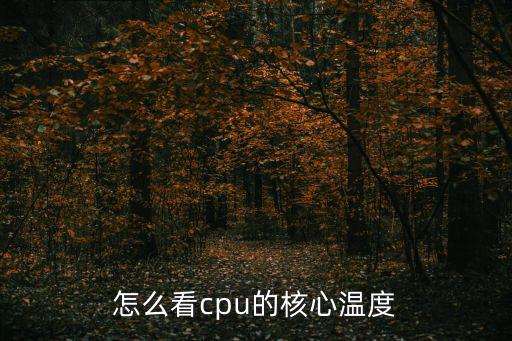 怎么看cpu的核心溫度