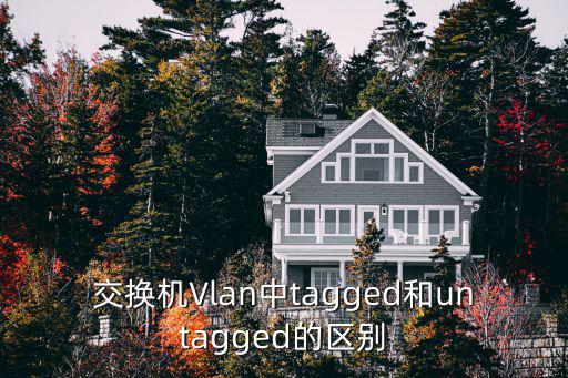 交換機Vlan中tagged和untagged的區別