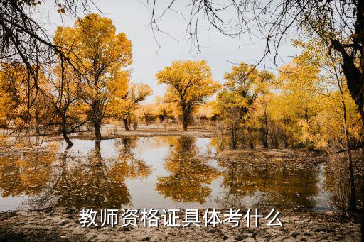 教師資格證具體考什么