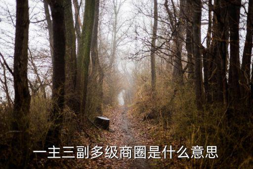 一主三副多級商圈是什么意思