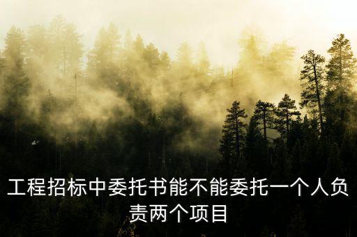 工程招標(biāo)中委托書(shū)能不能委托一個(gè)人負(fù)責(zé)兩個(gè)項(xiàng)目