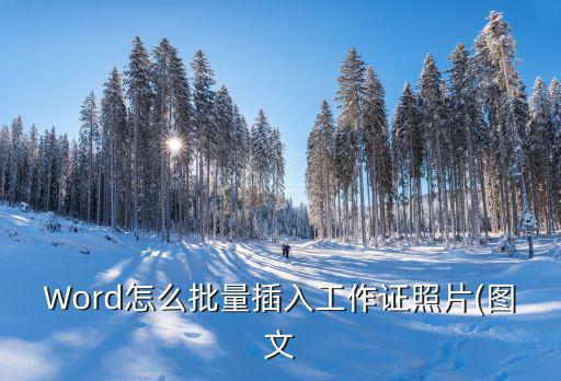 工作證模板免費下載,用電腦制作工作證照片!步驟（一）