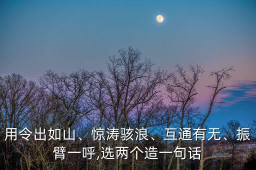 用令出如山、驚濤駭浪、互通有無、振臂一呼,選兩個造一句話