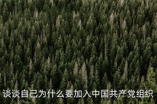 為什么加入黨組織,為什么要加入中共?
