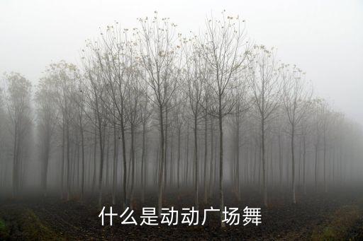 什么是動動廣場舞