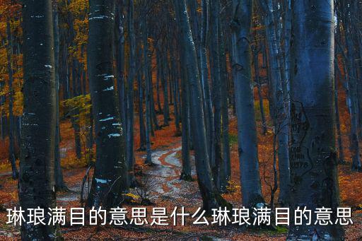 琳瑯滿目的意思是什么琳瑯滿目的意思