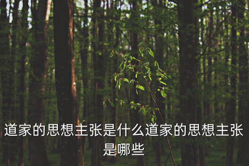 道家的思想主張是什么道家的思想主張是哪些