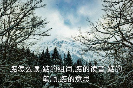 踮怎么讀,踮的組詞,踮的讀音,踮的筆順,踮的意思