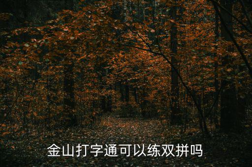金山打字通可以練雙拼嗎