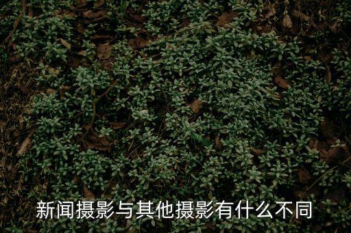 新聞攝影,中國(guó)新聞實(shí)用大辭典:新聞圖片不能只剩新聞含量