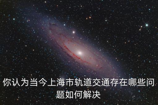 上海市軌道現狀問題舉例，上海交通問題