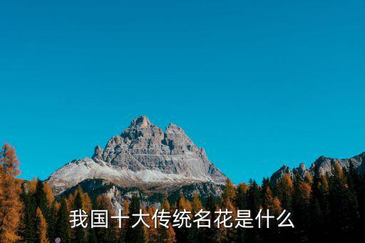 中國傳統十大名花，中國十大名花