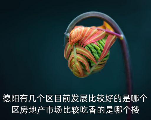 德陽有幾個區(qū)目前發(fā)展比較好的是哪個區(qū)房地產(chǎn)市場比較吃香的是哪個樓