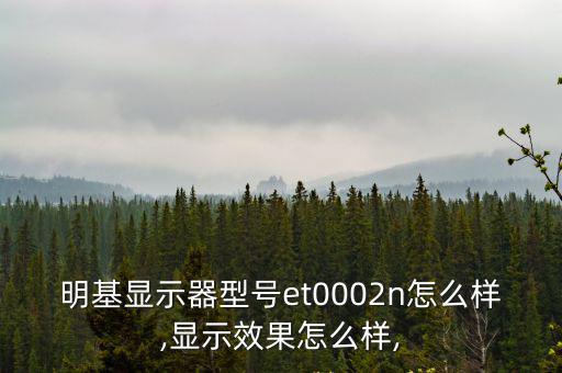 明基顯示器型號et0002n怎么樣,顯示效果怎么樣,