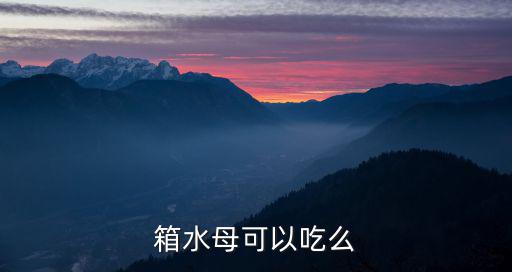 箱型水母,只有13只箱形水母可以吃么,箱式水母不能吃