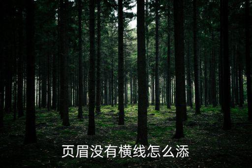 頁眉沒有橫線怎么添