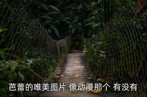 芭蕾的唯美圖片 像動(dòng)漫那個(gè) 有沒(méi)有