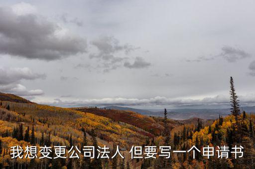 我想變更公司法人 但要寫一個申請書