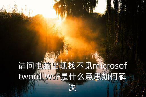 wsf,怎么清除.wsf病毒?