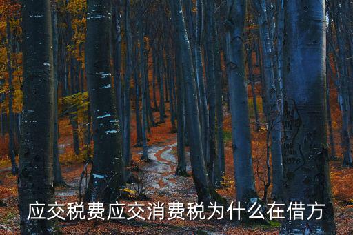 應交稅費應交消費稅為什么在借方
