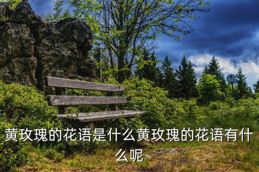 黃玫瑰的花語是什么黃玫瑰的花語有什么呢