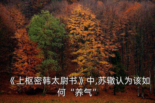 《上樞密韓太尉書》中,蘇轍認為該如何“養氣”