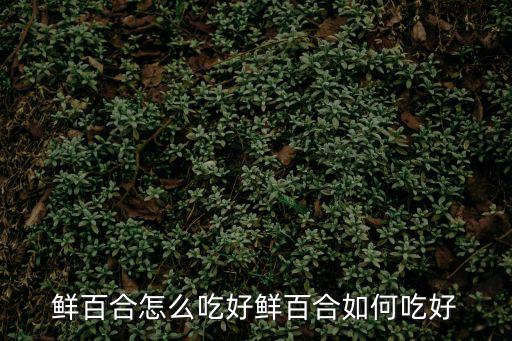 鮮百合怎么吃,百合怎么吃最好?看這里!
