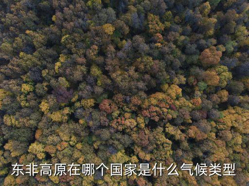 東非高原,非洲東非高原熱帶草原成因有哪些?